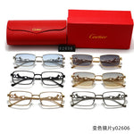 Classic Sunglasses - 137