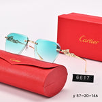 Classic Sunglasses - 139