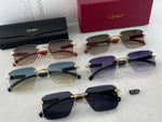 Classic Sunglasses - 170