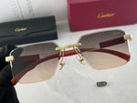 Classic Sunglasses - 170