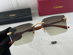 Classic Sunglasses - 175