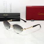 Classic Sunglasses - 176