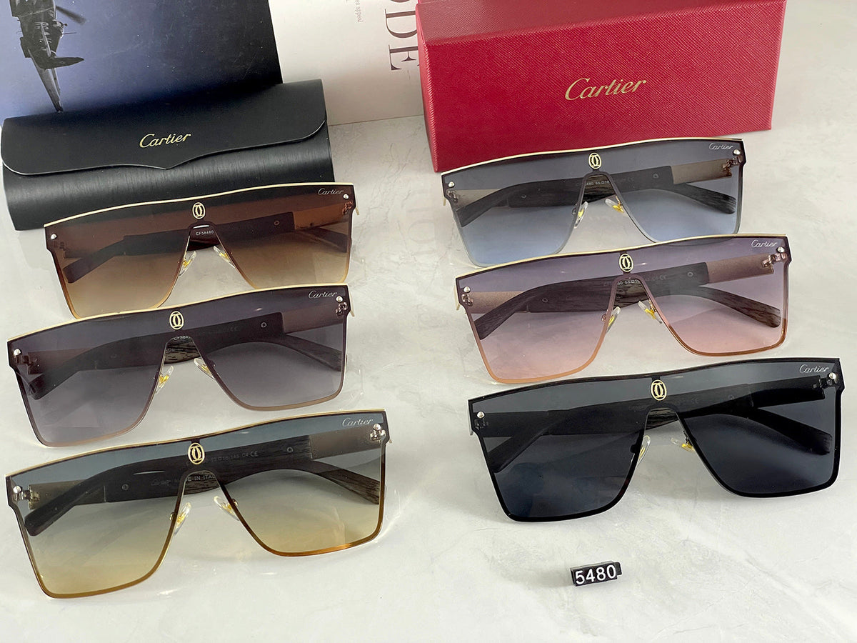 Classic Sunglasses - 196