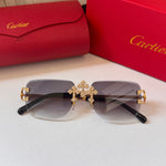 Classic Sunglasses - 50