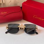 Classic Sunglasses - 50