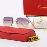 Classic Sunglasses - 76