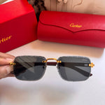 Classic Sunglasses - 80