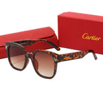 Classic Sunglasses - 85