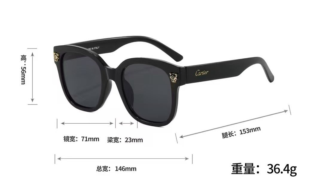 Classic Sunglasses - 85