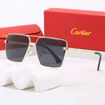 Classic Sunglasses - 103