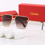 Classic Sunglasses - 103