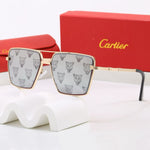 Classic Sunglasses - 103