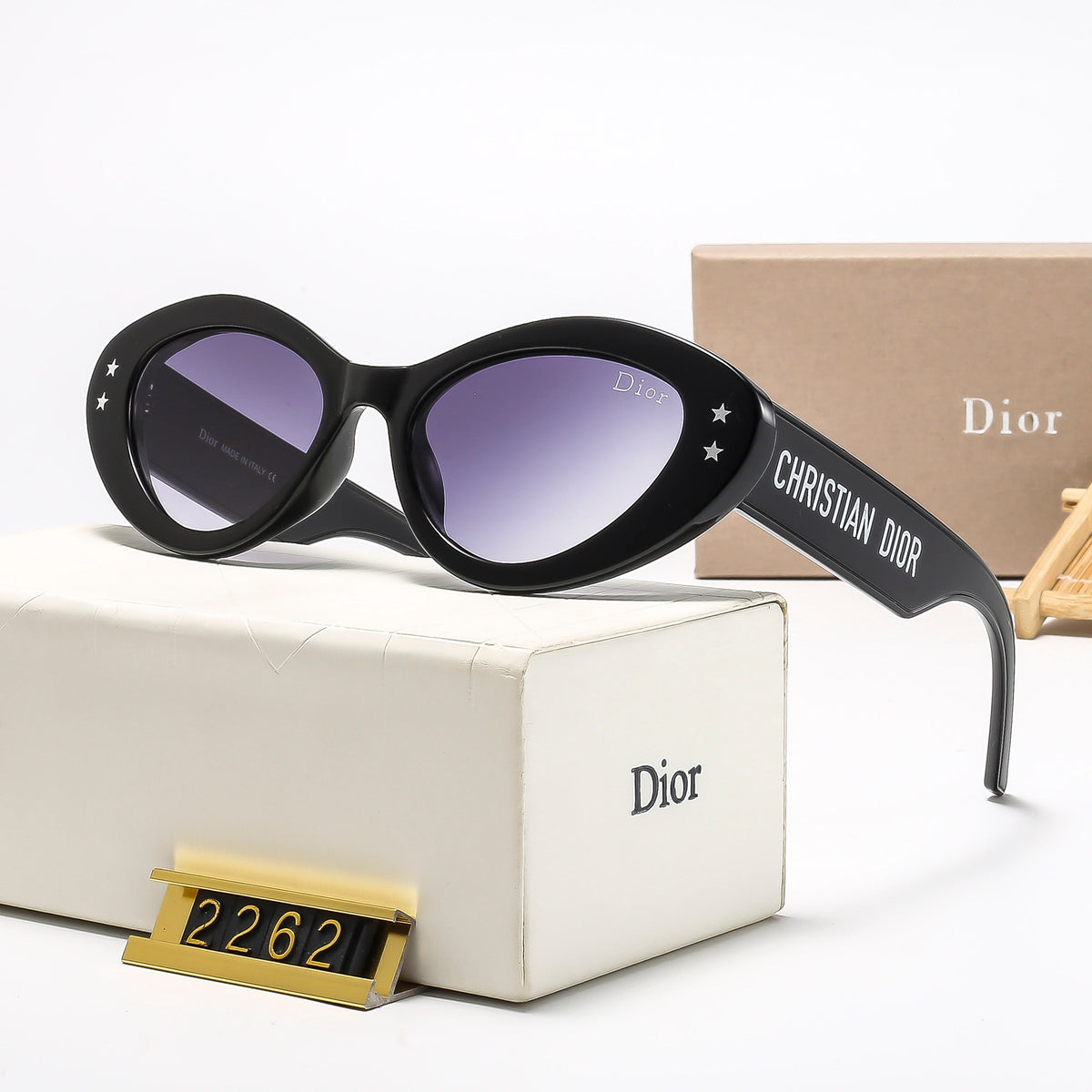 Classic Sunglasses - 113