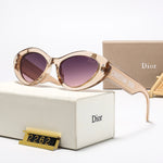Classic Sunglasses - 113