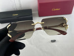 Classic Sunglasses - 163