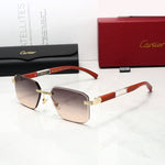 Classic Sunglasses - 170