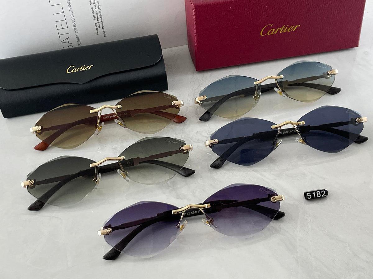 Classic Sunglasses - 176