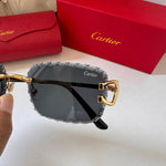 Classic Sunglasses - 79