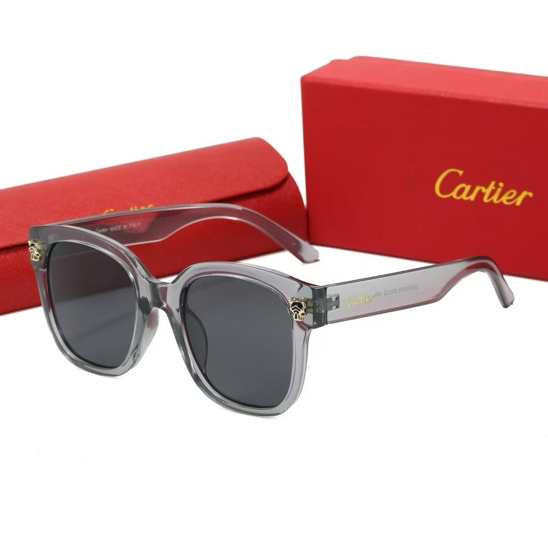 Classic Sunglasses - 85